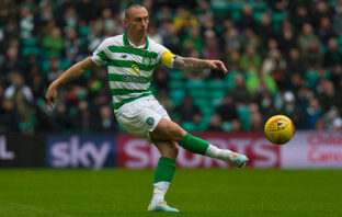 Brown Celtic