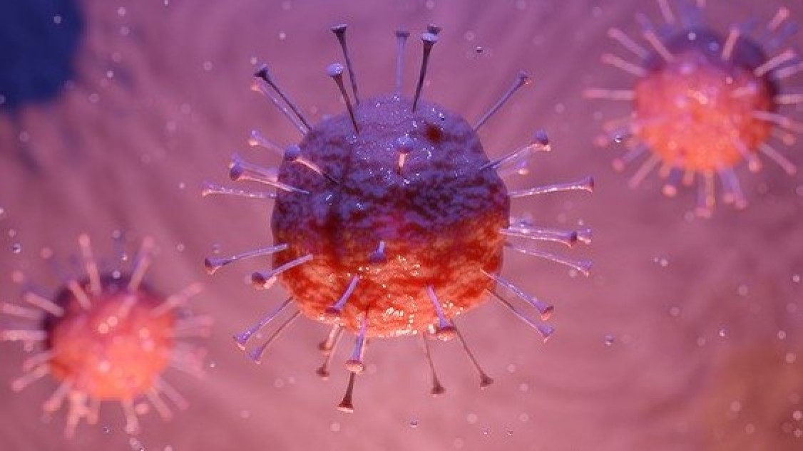 Coronavirus 