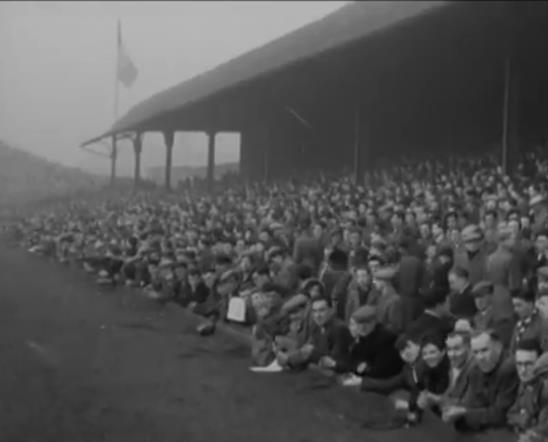 The Jungle in 1954