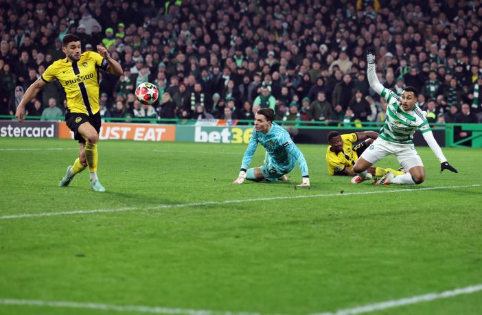 The Celtic goal