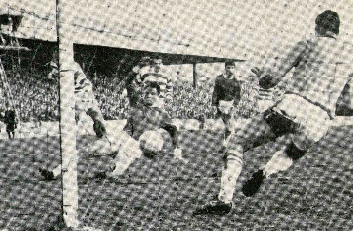 The Lions First Roar