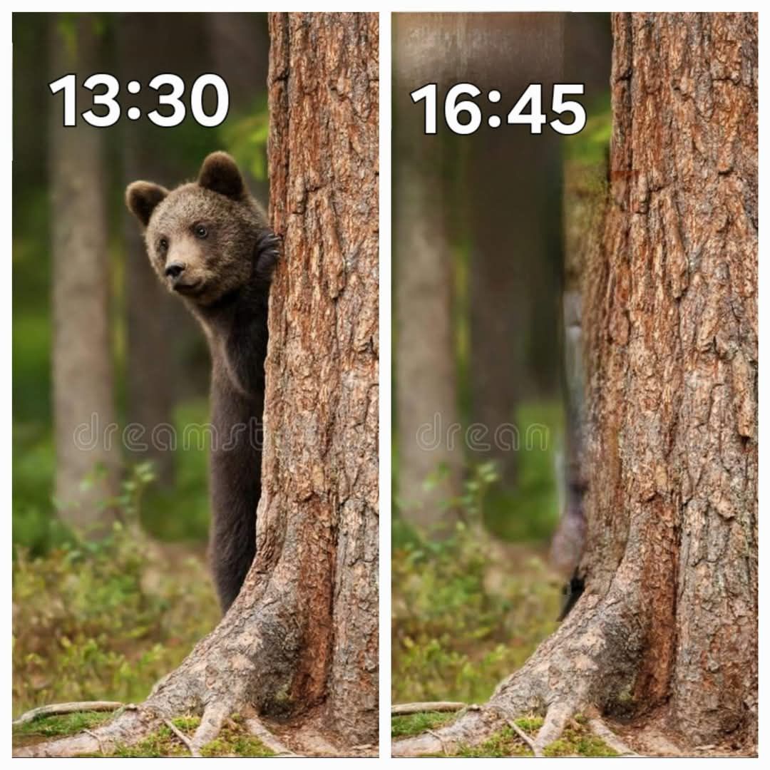 A summary of yesterday