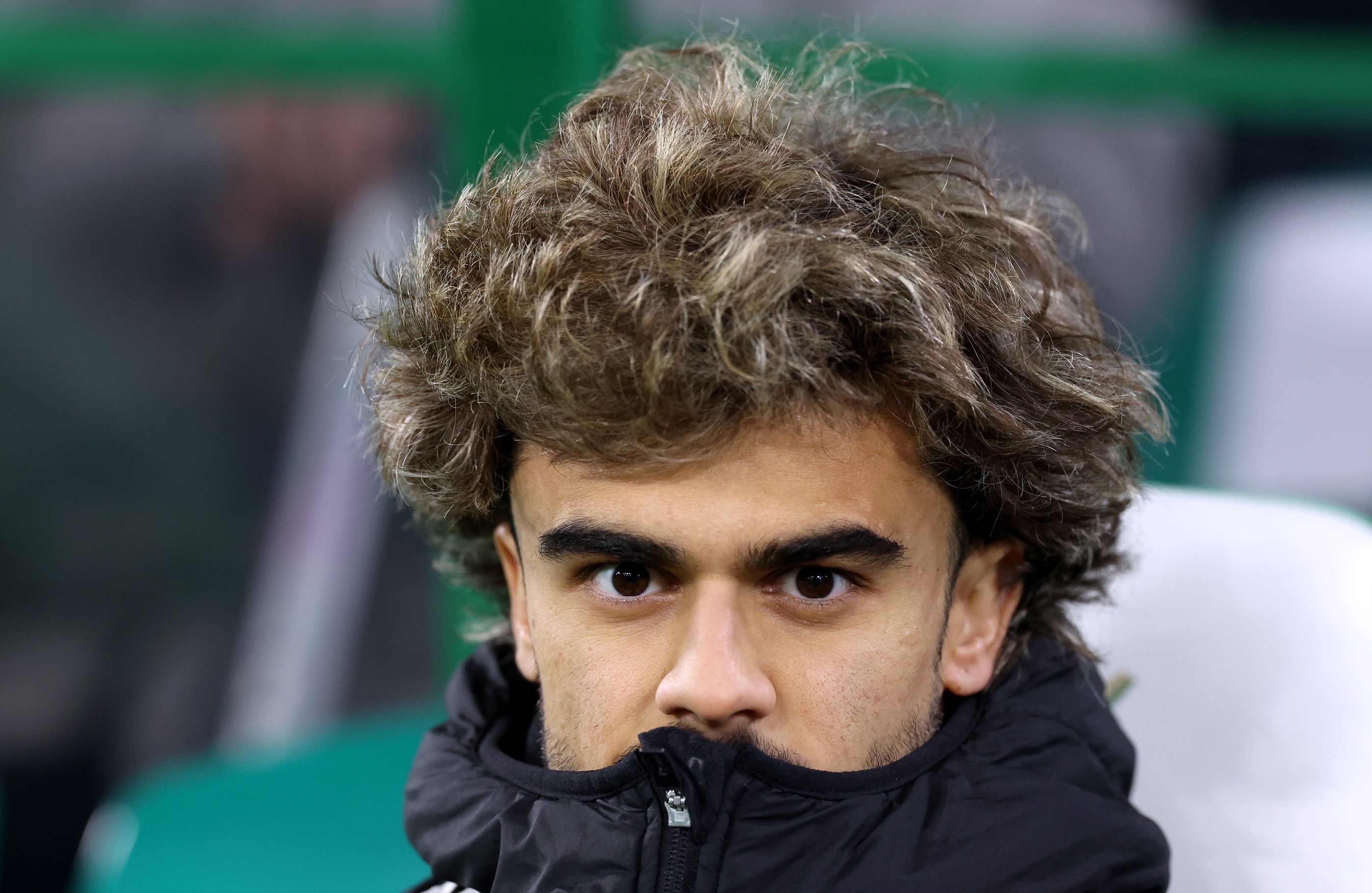 Jota on the bench 