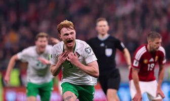Liam Scales of Republic of Ireland celebrates