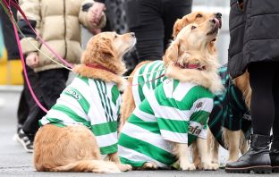 Celtic fans with their dogs are seen during the Scottish Premiership match