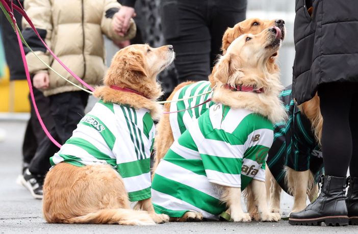 Celtic fans with their dogs are seen during the Scottish Premiership match