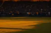 Floodlit stadium pitch at dusk with golden-hour lighting, packed stands behind, dramatic shadows on grass, French and Swedish colour palette.
