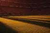 Floodlit stadium pitch at dusk with dramatic shadows and rain-slicked turf, shot from low sideline angle.