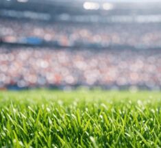 Egypt vs Iran Prediction: World Cup 2026 Preview & Best Bets