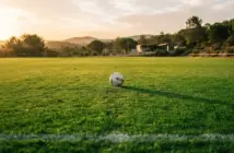 Football training pitch in Portugal at golden hour with pristine green grass and white lines